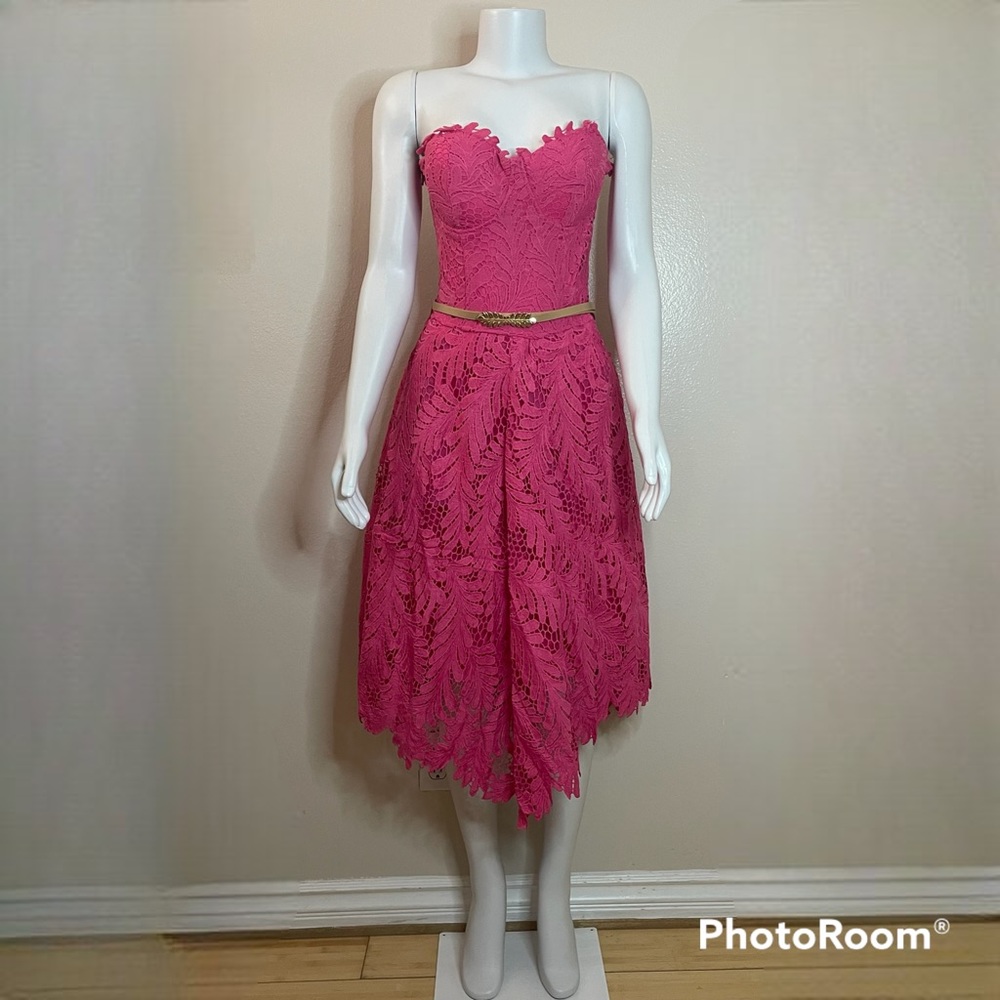 Curvy pink lace sweetheart strapless scalloped leaf belted midi dress